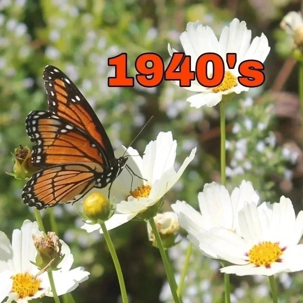 We have 1940's